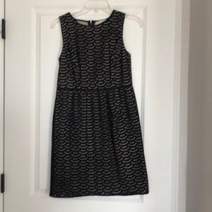 Loft black lace dress